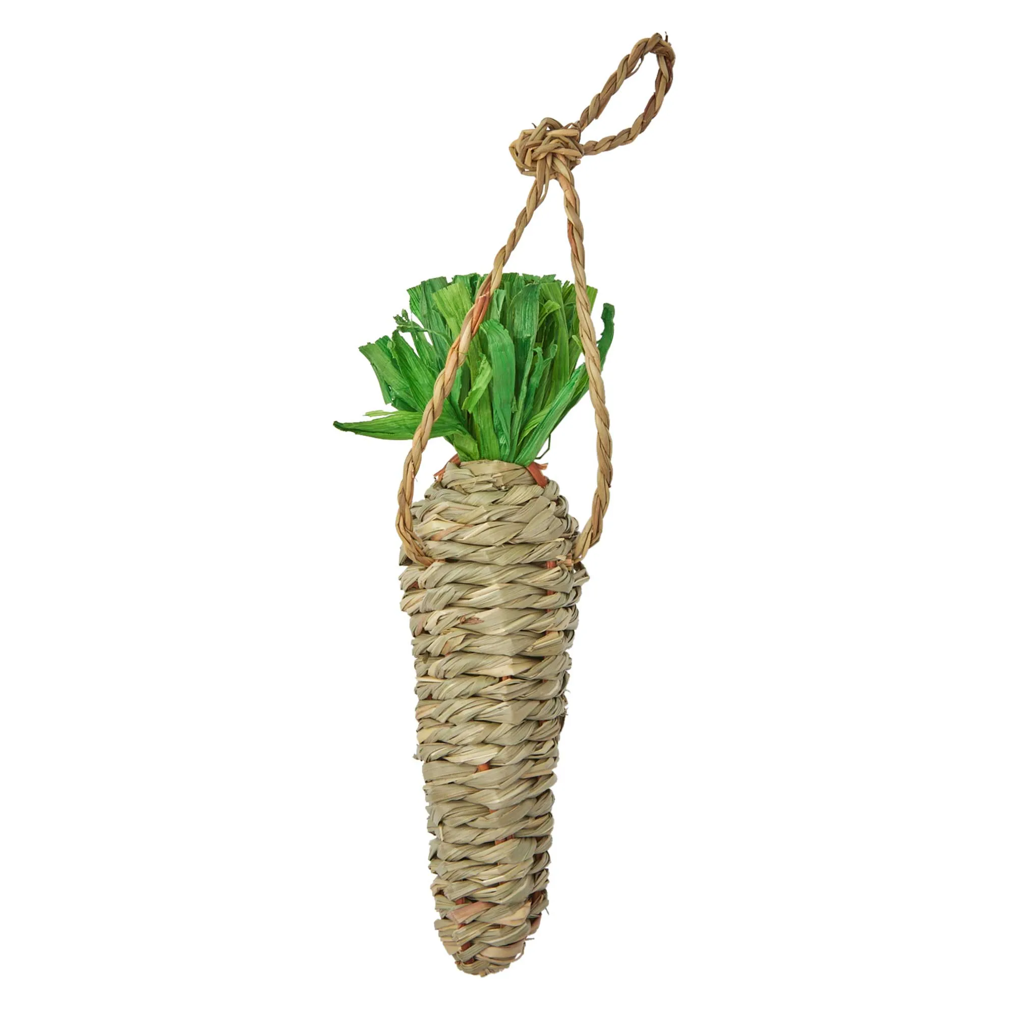 Nibble & Squeek Seagrass Carrot Chew Small Animal Toy