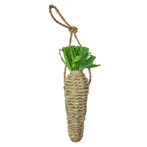 Nibble & Squeek Seagrass Carrot Chew Small Animal Toy