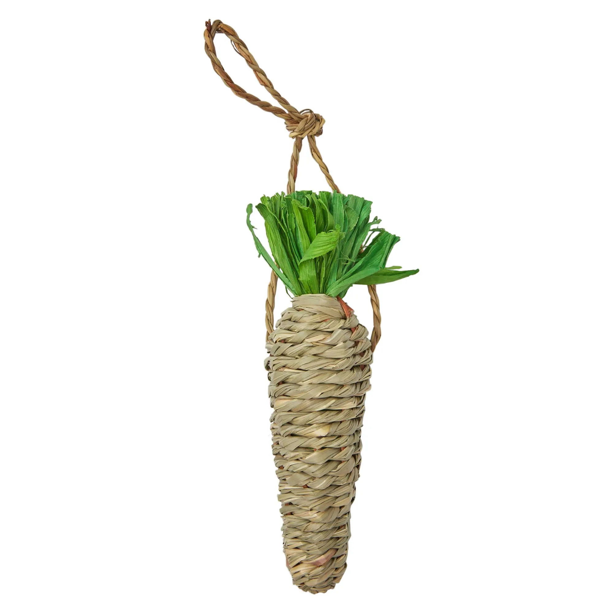 Nibble & Squeek Seagrass Carrot Chew Small Animal Toy