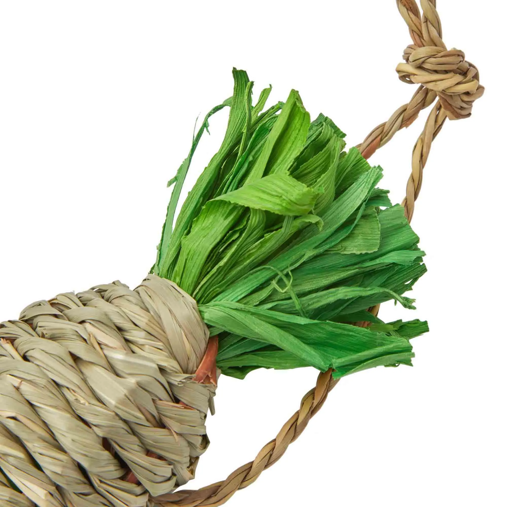 Nibble & Squeek Seagrass Carrot Chew Small Animal Toy