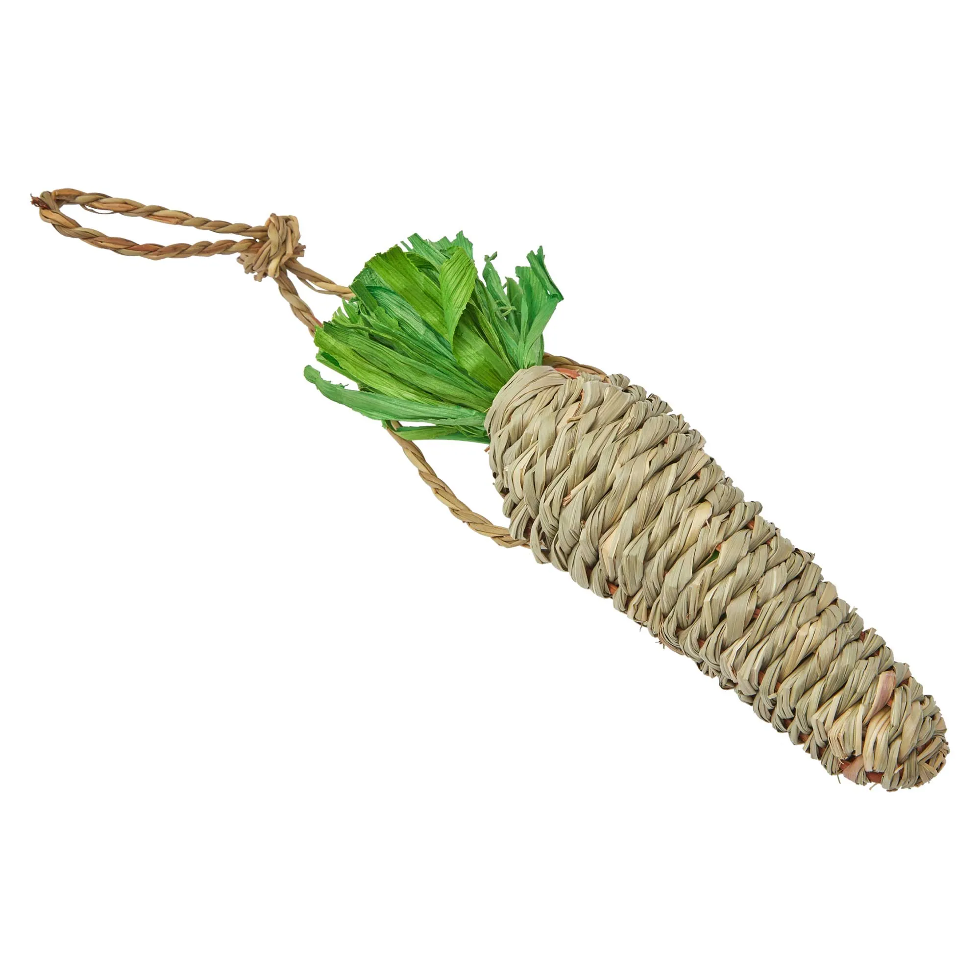 Nibble & Squeek Seagrass Carrot Chew Small Animal Toy