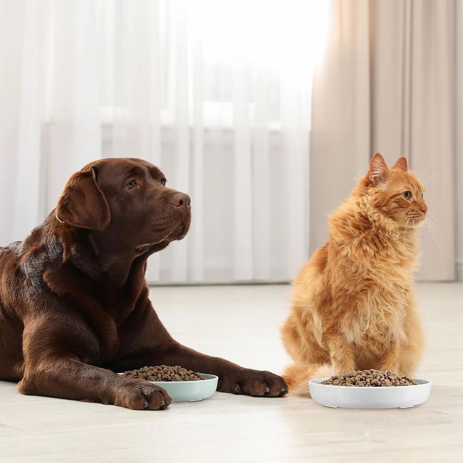 Nitial 2 Pcs Cat Slow Feeder Bowl Fish Pool Design Feeder Dish Fun Interactive Cat Food Bowl Healthy Eating Diet Bowls for Pet Puppy Dogs Dishwasher Safe(White, Green)