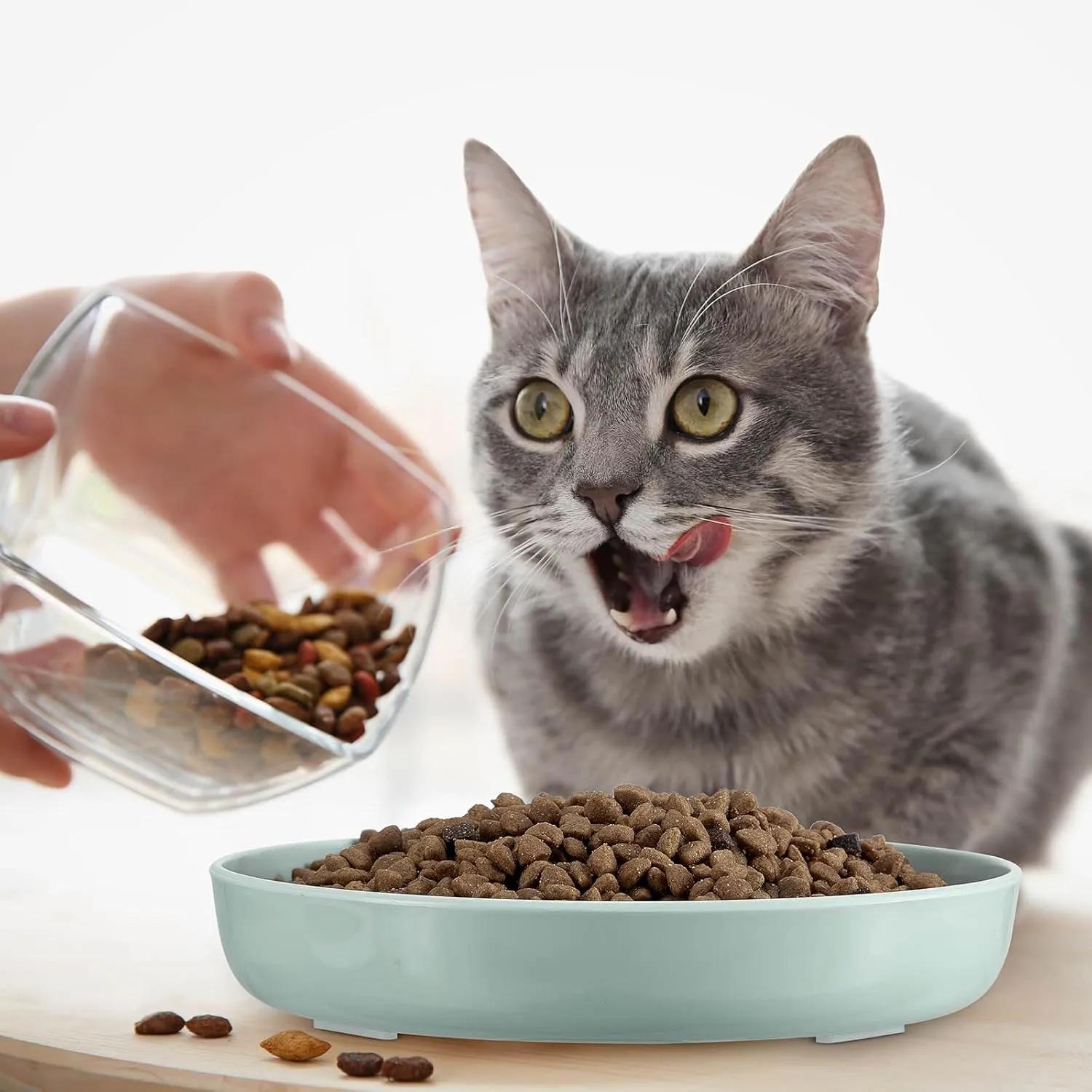 Nitial 2 Pcs Cat Slow Feeder Bowl Fish Pool Design Feeder Dish Fun Interactive Cat Food Bowl Healthy Eating Diet Bowls for Pet Puppy Dogs Dishwasher Safe(White, Green)