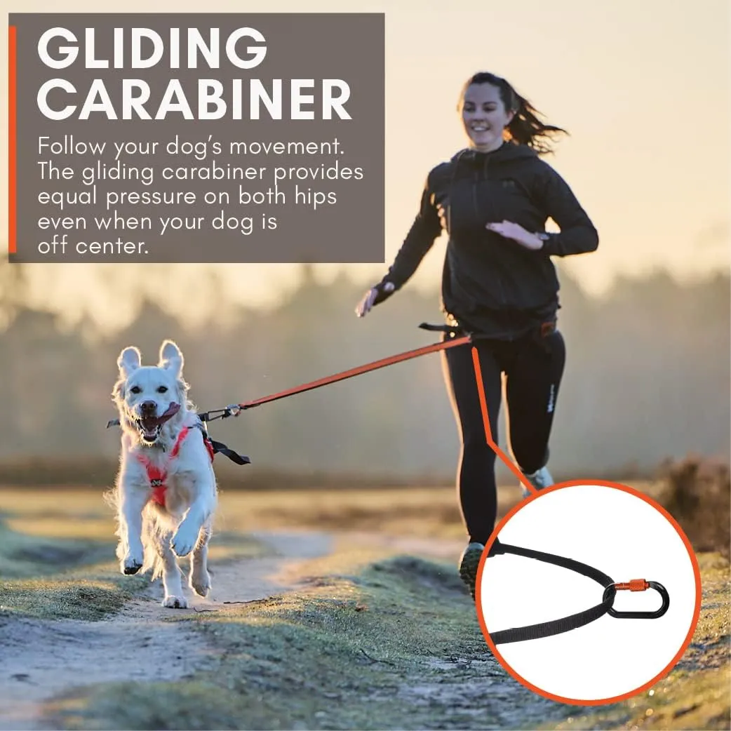 Non-stop dogwear CaniX Hands Free Dog Running Belt for Canicross. Comfortable Waist Belt for Jogging and Training Dogs. Black, Size M