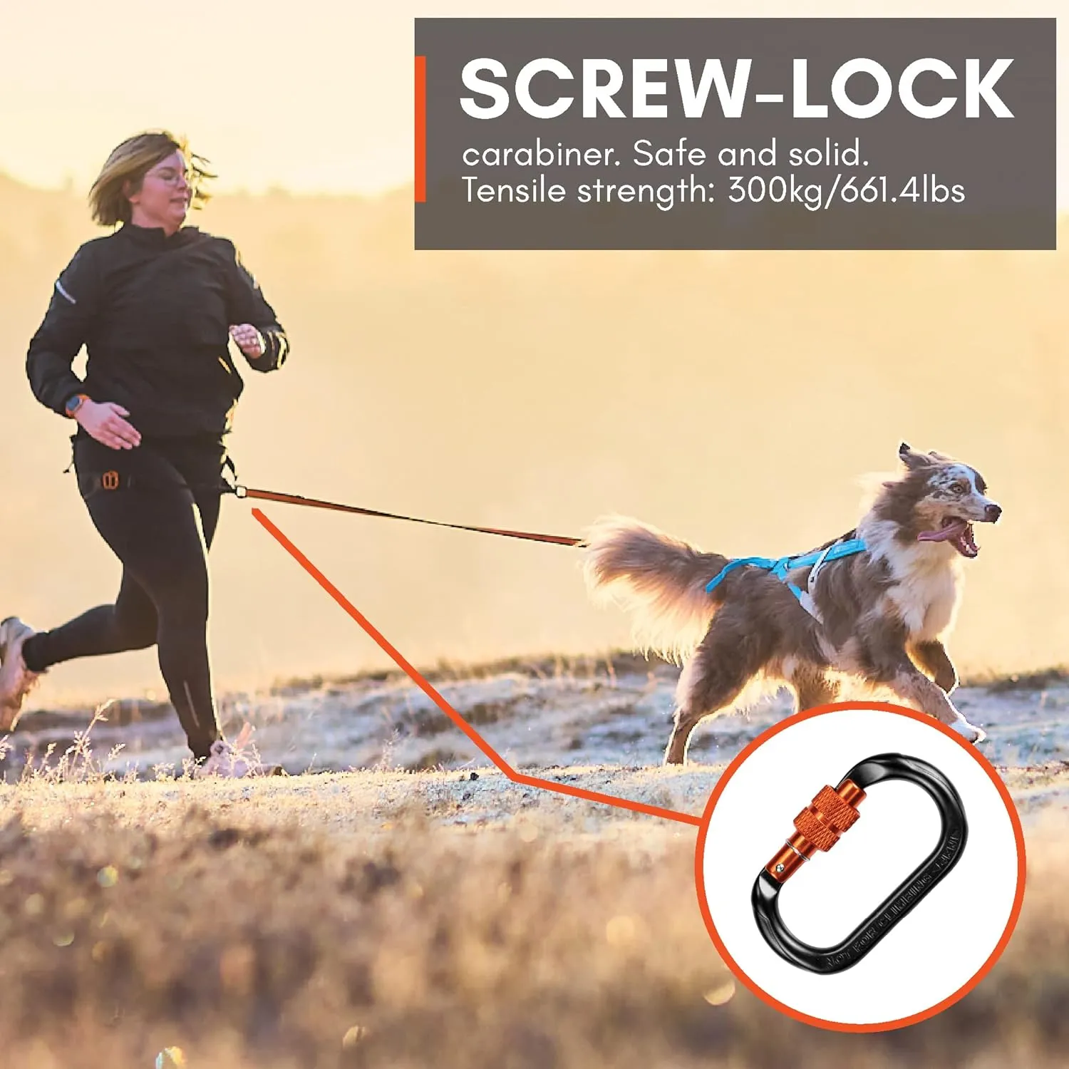 Non-stop dogwear CaniX Hands Free Dog Running Belt for Canicross. Comfortable Waist Belt for Jogging and Training Dogs. Black, Size M