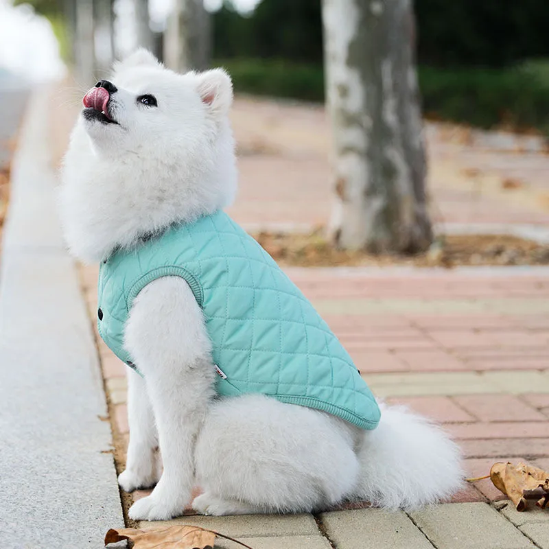 Padded Luxe Dog Vest - Blue