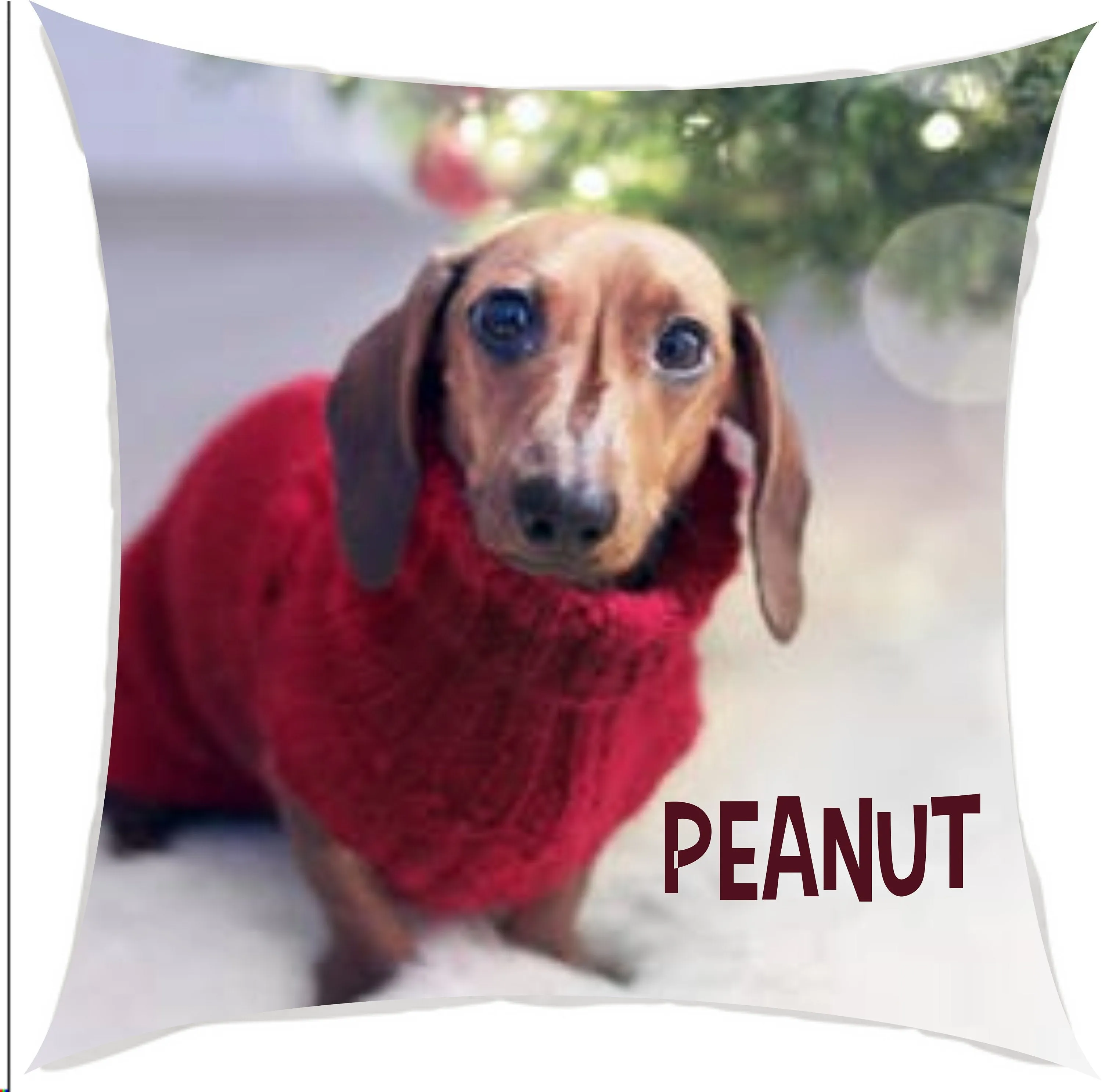 Personalized Photo Pillow