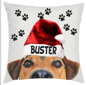 Personalized Photo Pillow