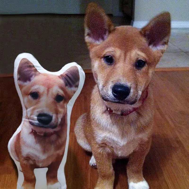 Pet Pillows with Your Dog Picture Custom Dog Shaped Pillow
