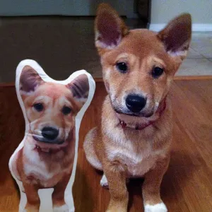 Pet Pillows with Your Dog Picture Custom Dog Shaped Pillow