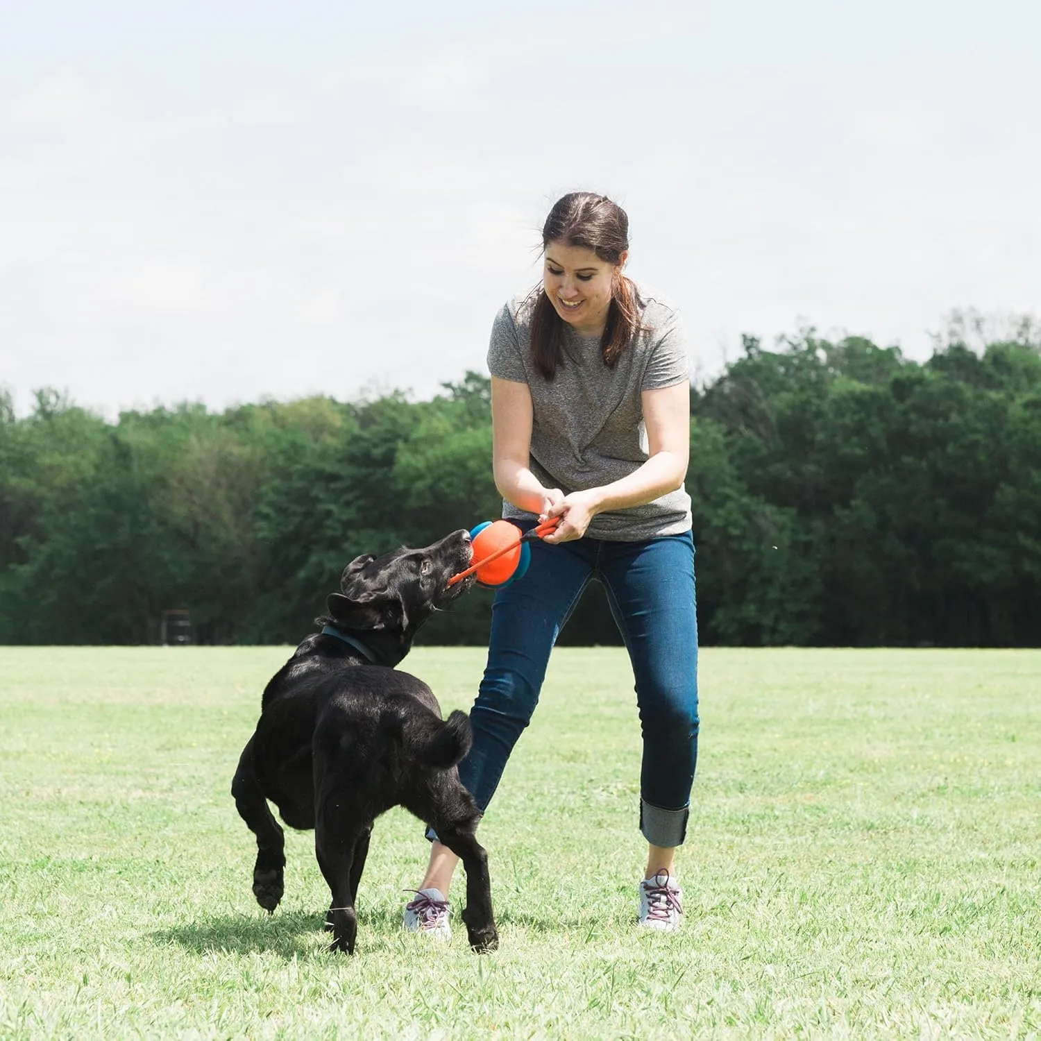 Rope Fetch Dog Toy 22-1/2 in. - Orange / Blue