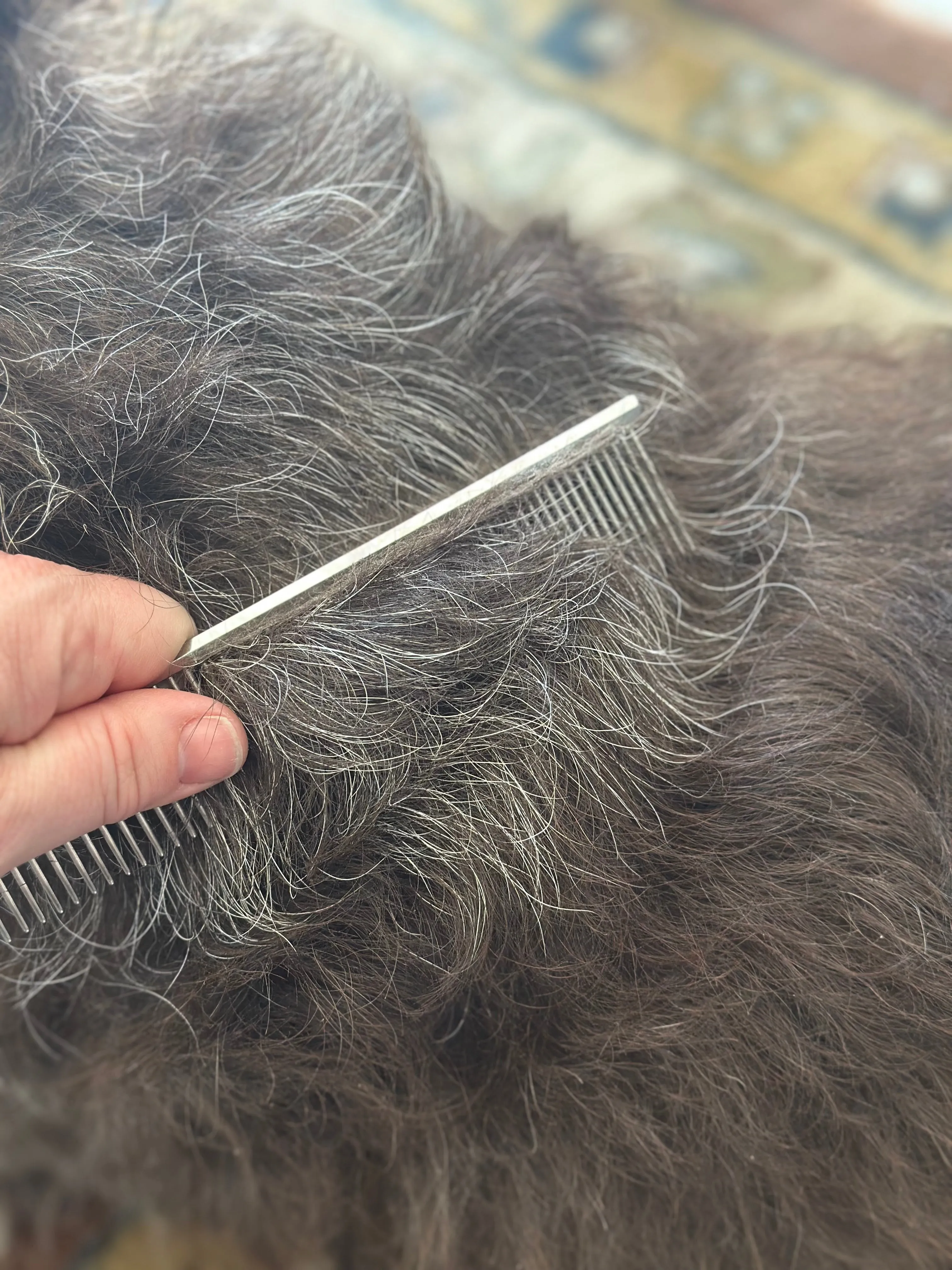 Safari by Coastal Comb for Medium & Coarse coats