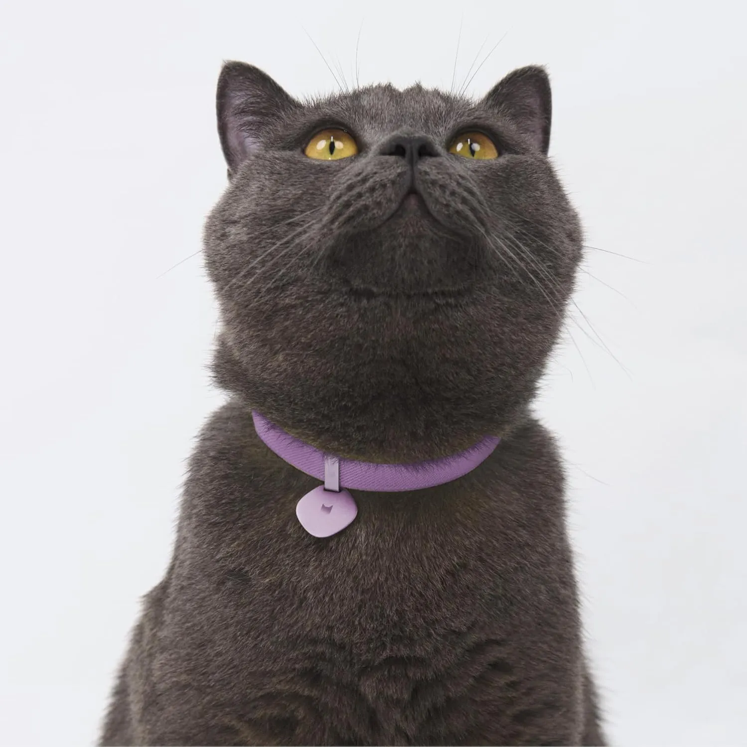 Safety Cat Collar and ID Tag Set - Elastic Quick Release, Non Breakaway Cat Collar Personalized Anodized Aluminum Pet Name Tag, Lightweight for Kitten and Small Large Cats