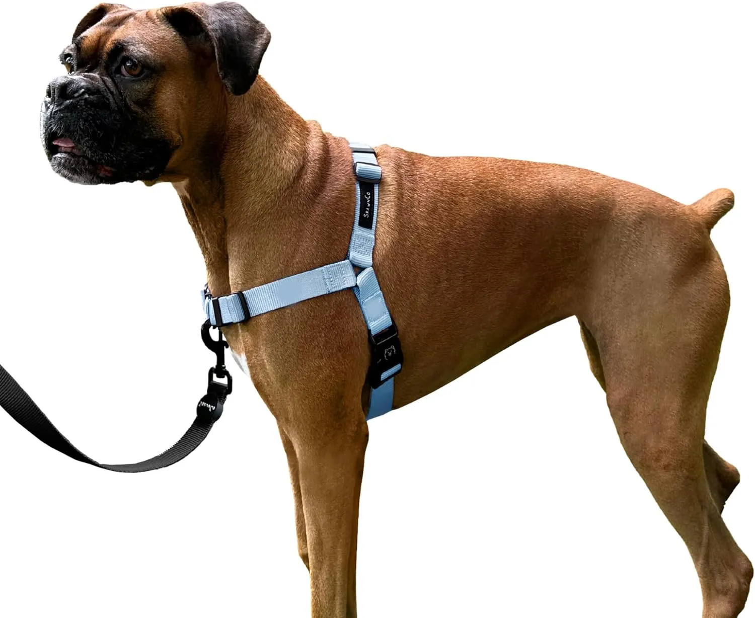ShawnCo Dream Walk No-Pull Dog Harness- Adjustable, Comfortable, Easy to Use Pet Halter to Help Stop Pulling for Small, Medium and Large Dogs (Moonglow, S)