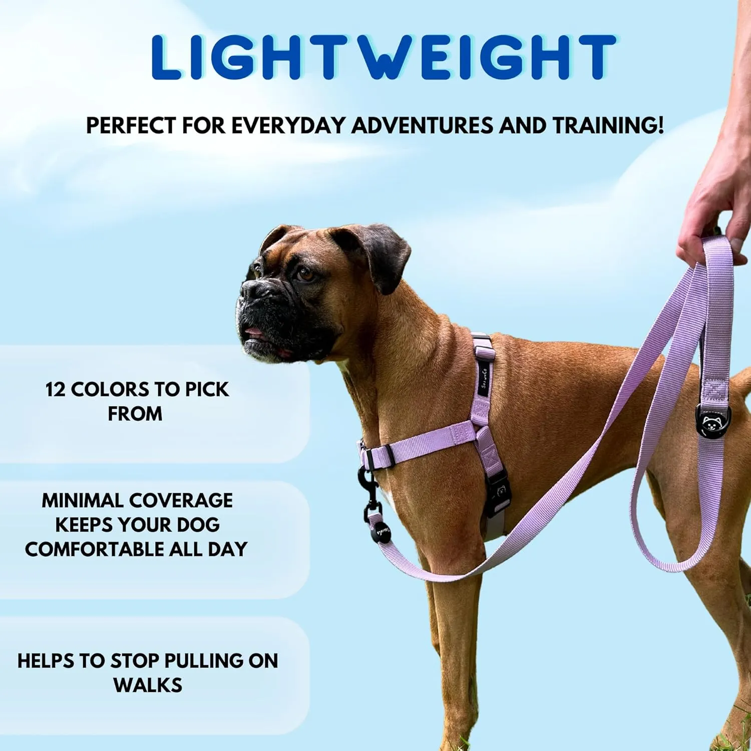 ShawnCo Dream Walk No-Pull Dog Harness- Adjustable, Comfortable, Easy to Use Pet Halter to Help Stop Pulling for Small, Medium and Large Dogs (Oceanic Blue, M)