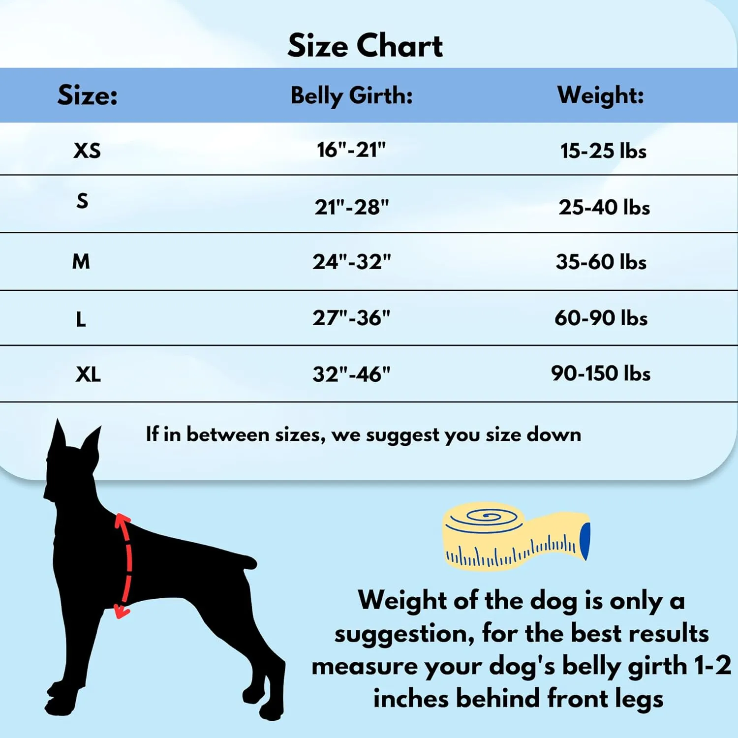 ShawnCo Dream Walk No-Pull Dog Harness- Adjustable, Comfortable, Easy to Use Pet Halter to Help Stop Pulling for Small, Medium and Large Dogs (Oceanic Blue, M)