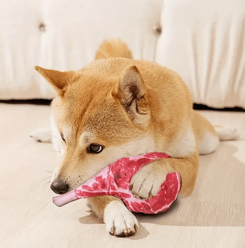 Simulated Steak Chew Toy – Bite-Resistant & Squeaky Dog and Cat Toy | Durable Pet Play Product