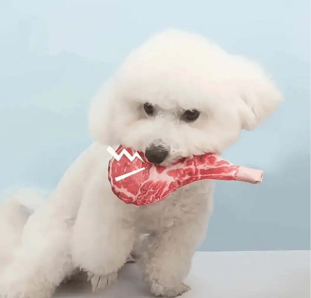 Simulated Steak Chew Toy – Bite-Resistant & Squeaky Dog and Cat Toy | Durable Pet Play Product