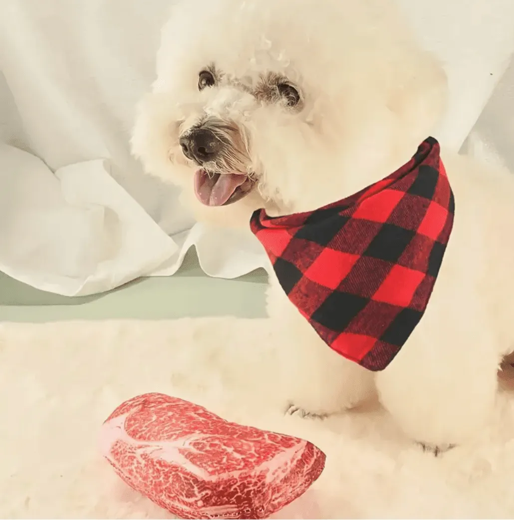 Simulated Steak Chew Toy – Bite-Resistant & Squeaky Dog and Cat Toy | Durable Pet Play Product
