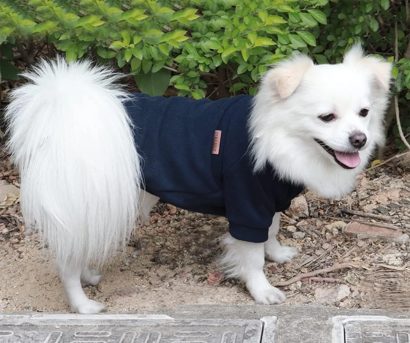 Small Dog Sweater Dog Sweatshirts for Small Dogs Chihuahua Clothes, Warm and Lightweight, with a Soft Texture, Easy to Wear and Bright Colors (Black, XXX-Large)