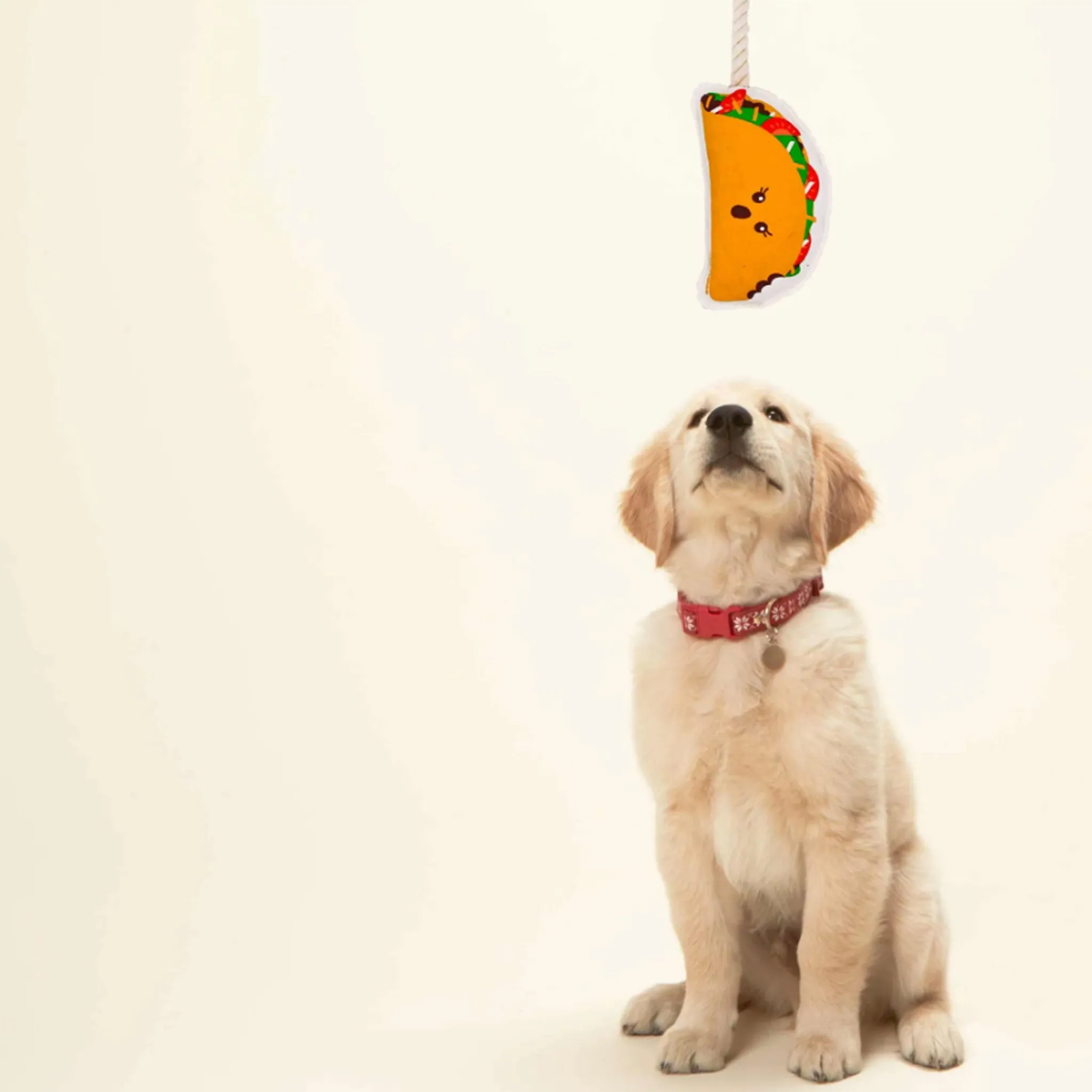 Speckle & Spot Taco Rope Dog Toy
