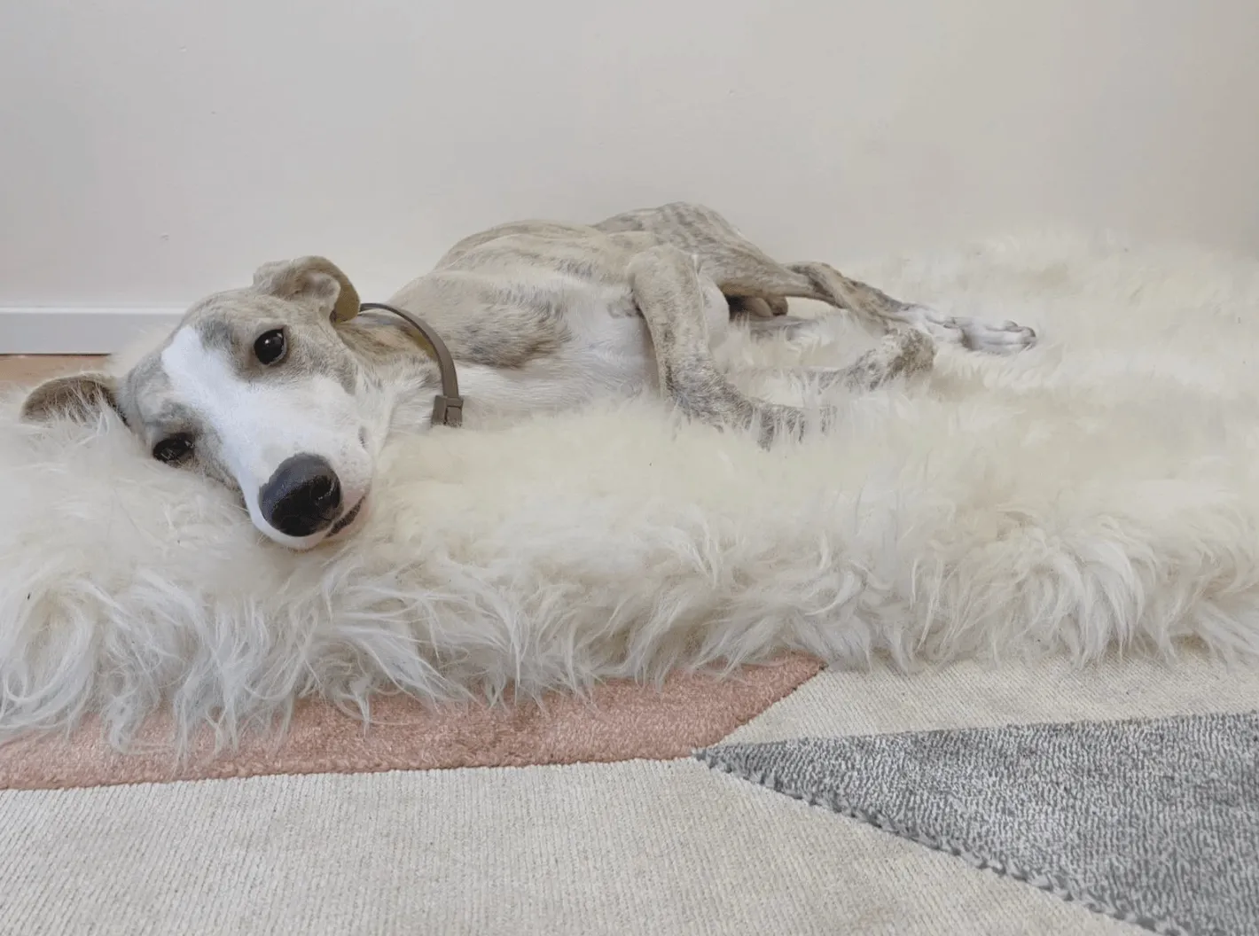 Square or Rectangular Natural Sheepskin Pet Mat - White