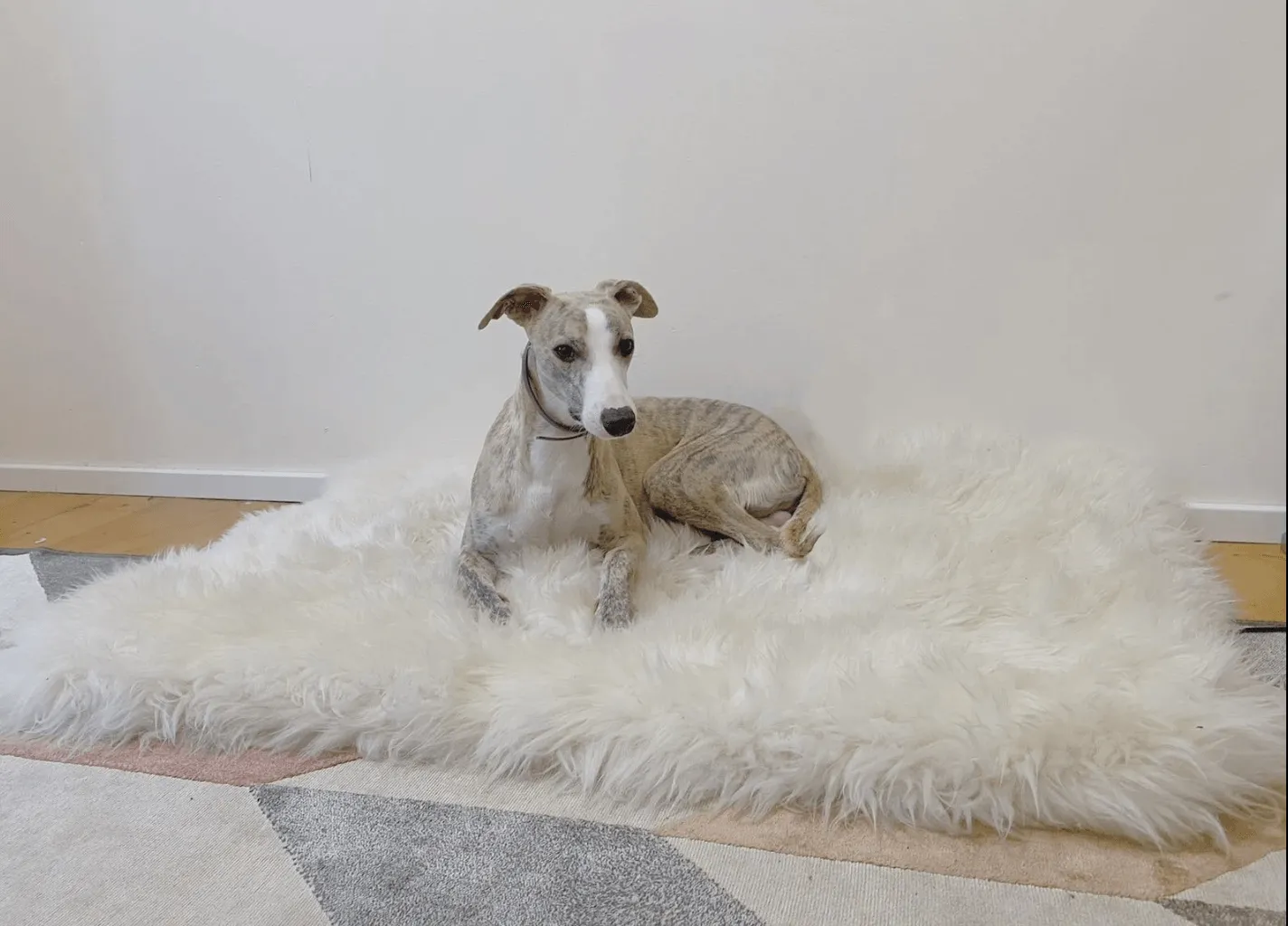 Square or Rectangular Natural Sheepskin Pet Mat - White