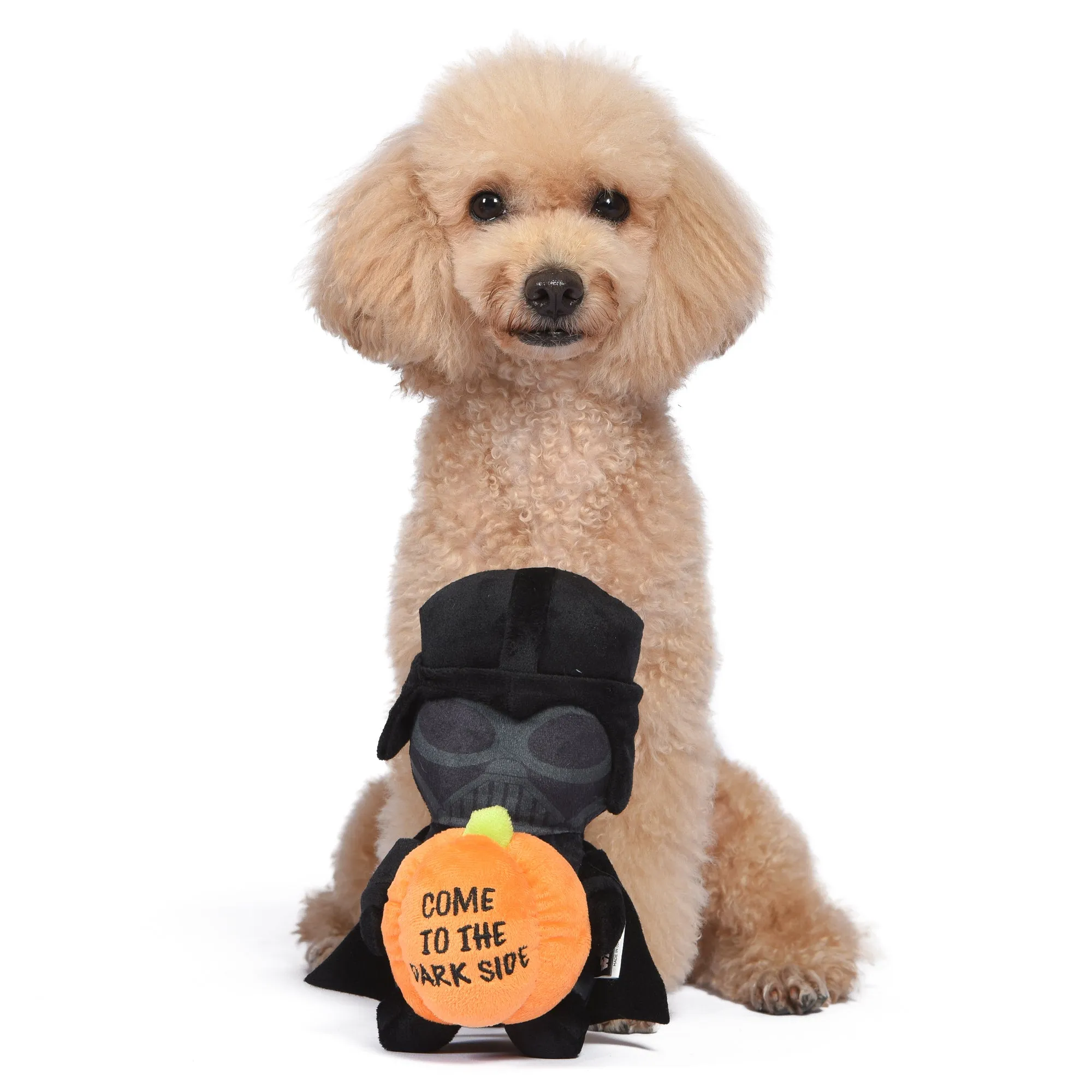 Star Wars: Halloween 9" Darth Vader "Dark Side" Pumpkin Squeaker Pet Toy