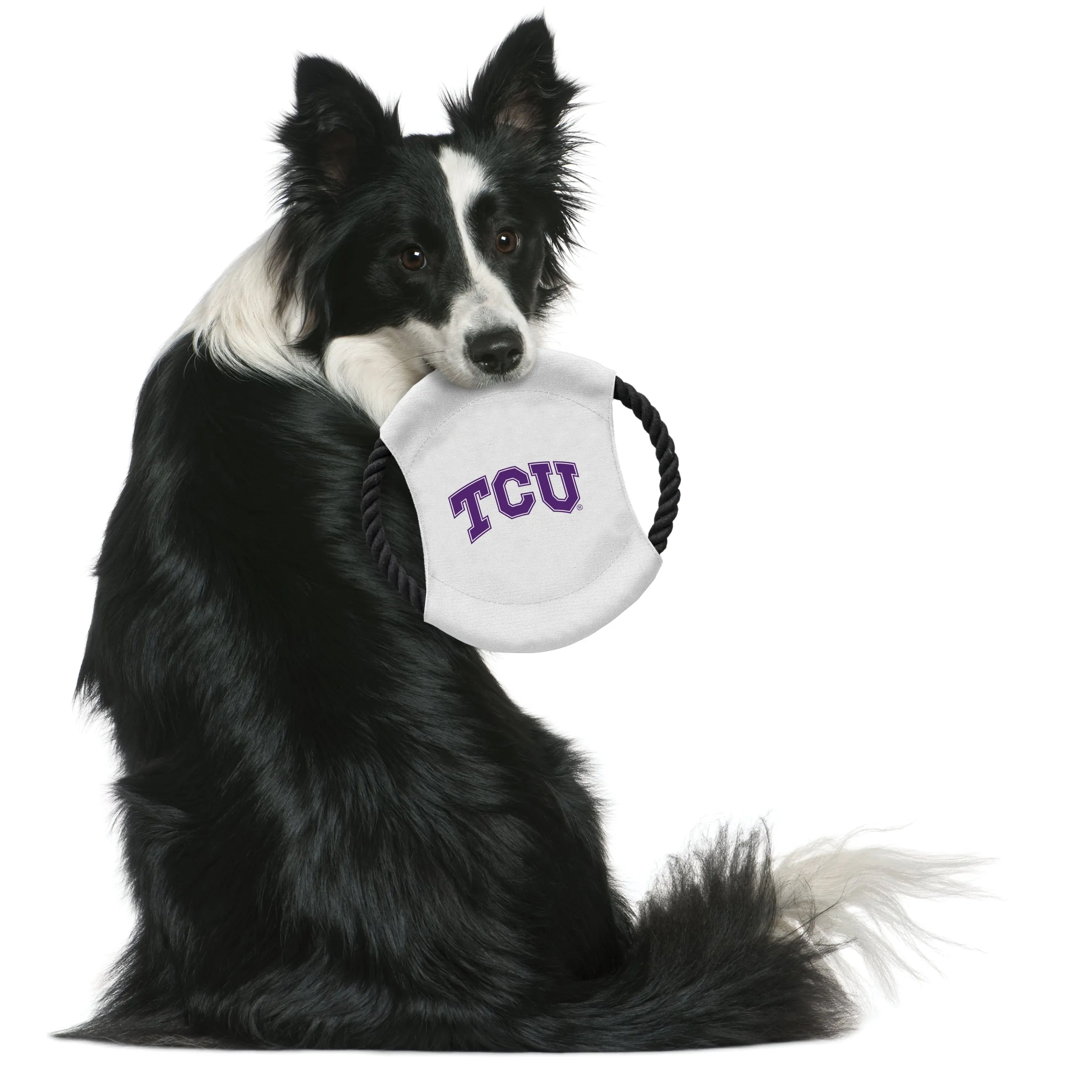 Texas Christian University Team Flying Disc Pet Toy