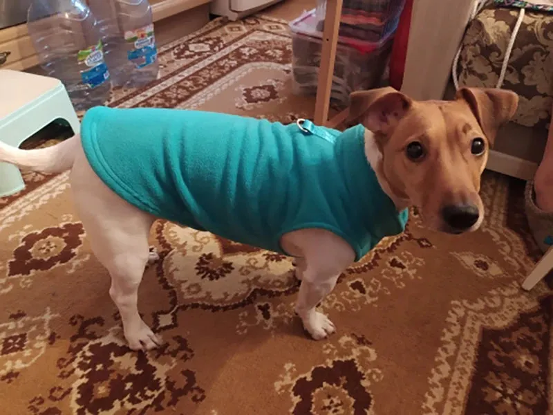 Warm Fleece Vest for Small Dogs and Cats with D-Ring Attachment